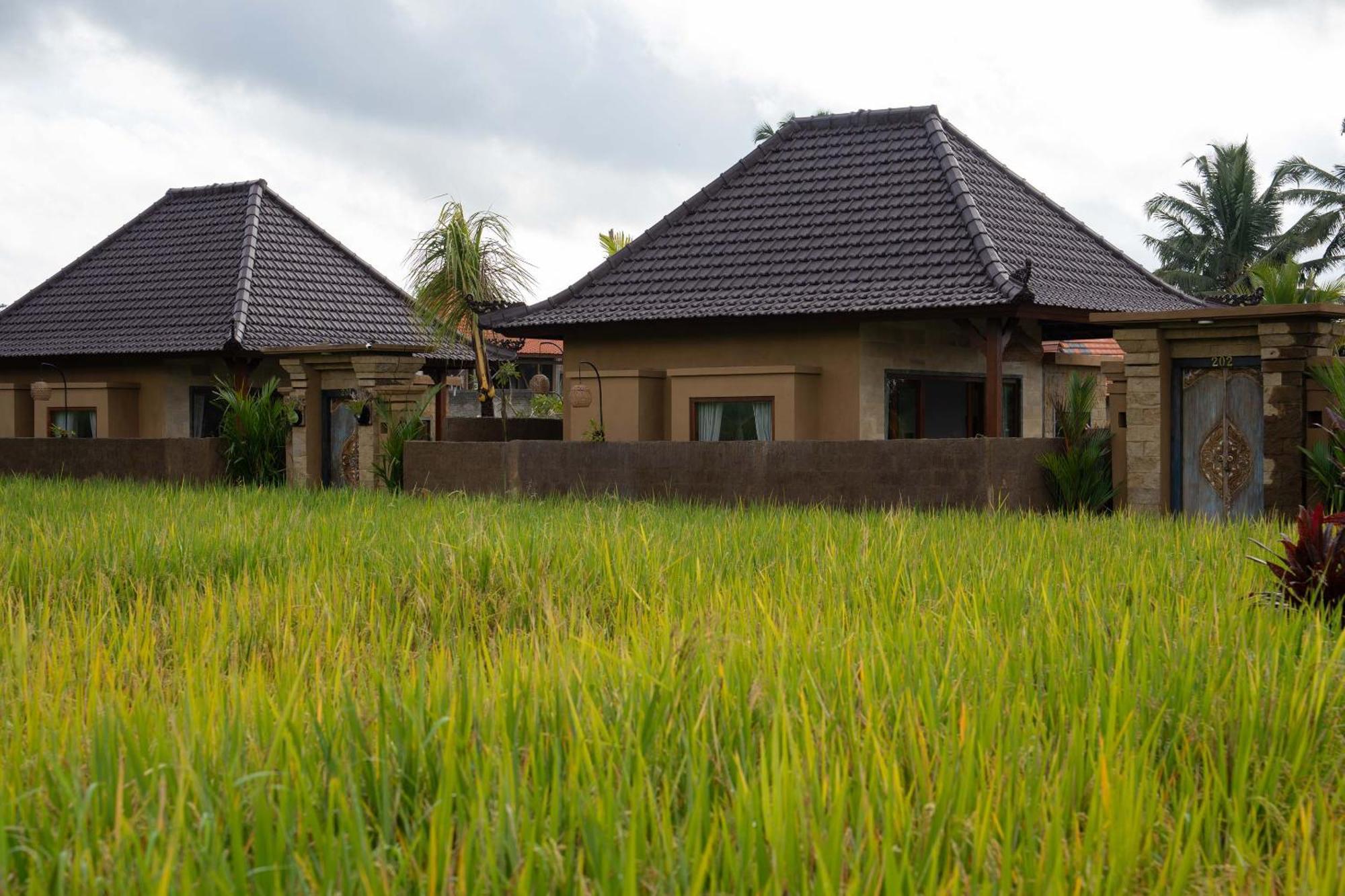 Sawah Sebatu Villa Ubud Zewnętrze zdjęcie