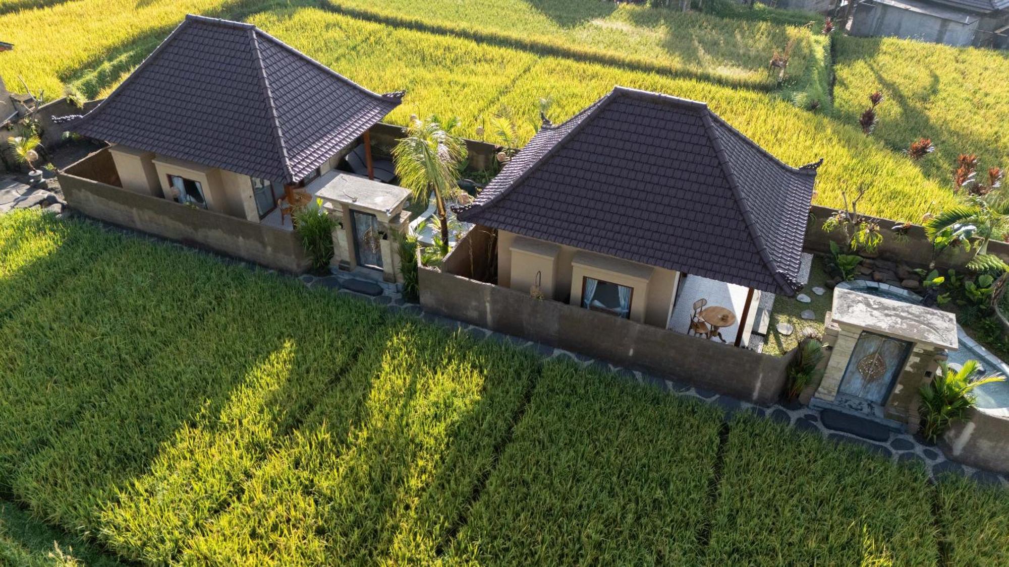 Sawah Sebatu Villa Ubud Zewnętrze zdjęcie