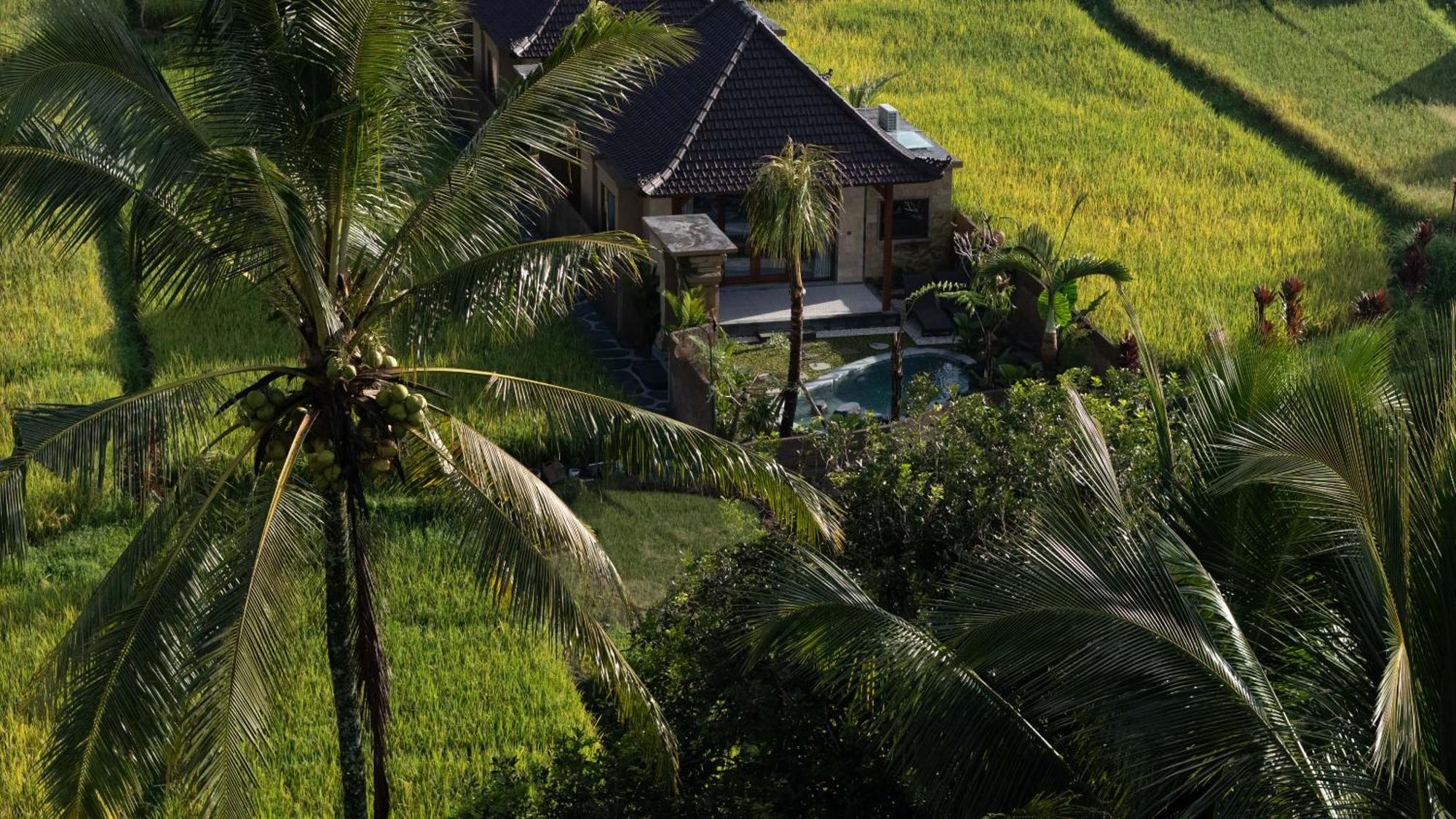 Sawah Sebatu Villa Ubud Zewnętrze zdjęcie