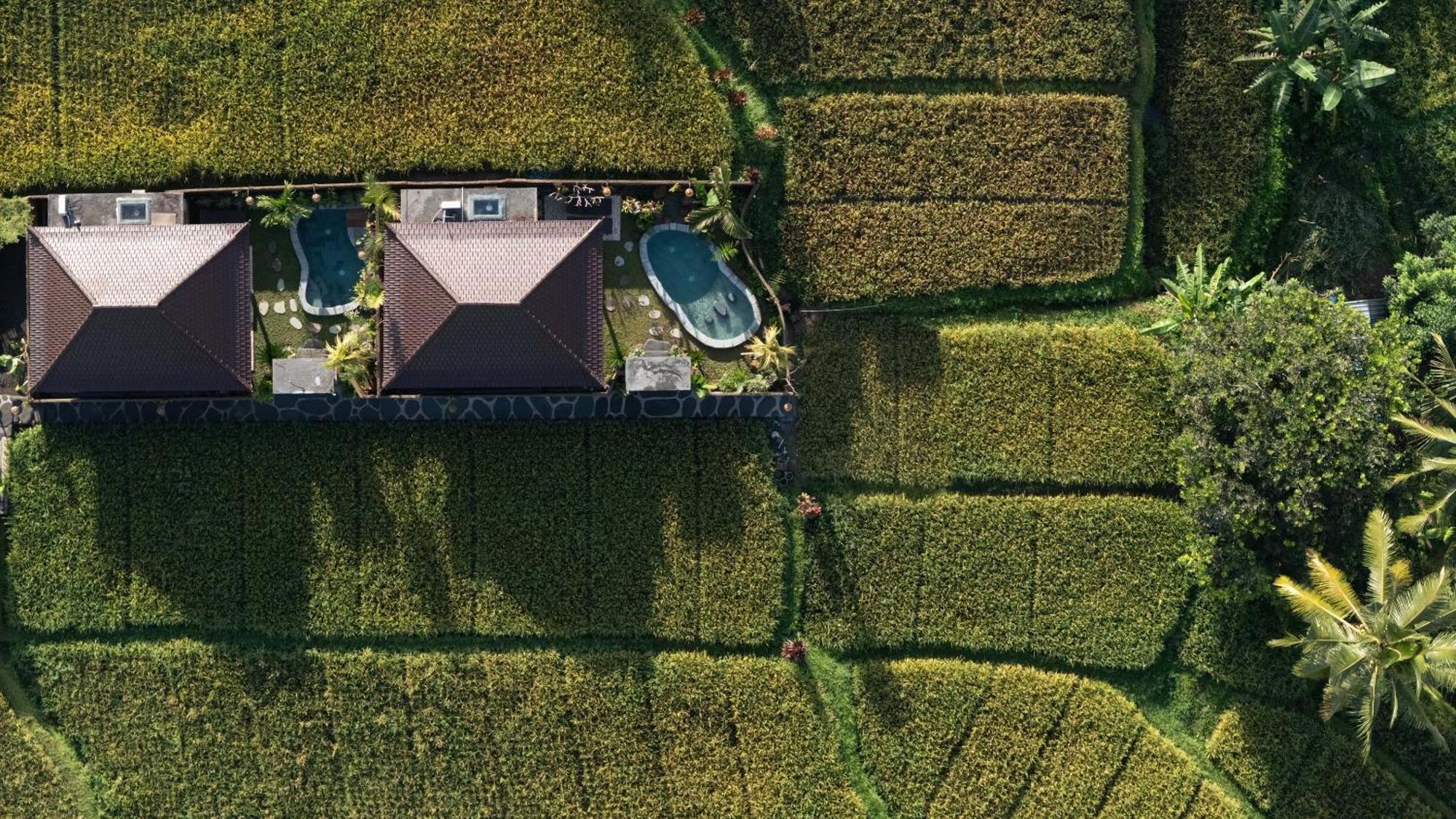 Sawah Sebatu Villa Ubud Zewnętrze zdjęcie