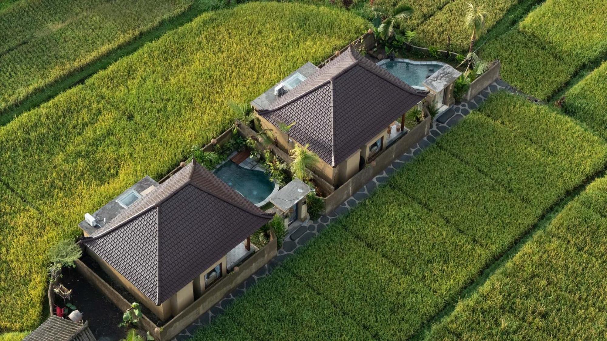 Sawah Sebatu Villa Ubud Zewnętrze zdjęcie